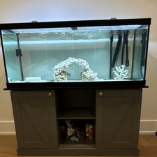 Fluval Glass Fish Tank with Stand, Filter, Decorations, Accessories, Rectangle