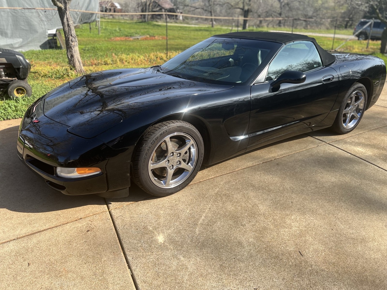 2001 Black Chevrolet Corvette   | C5 Corvette Photo 7