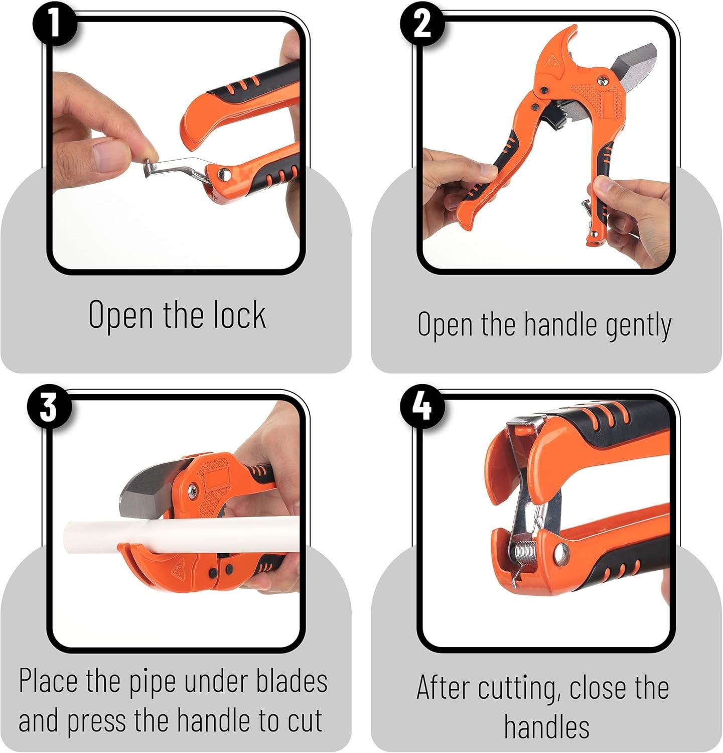 Slide 8