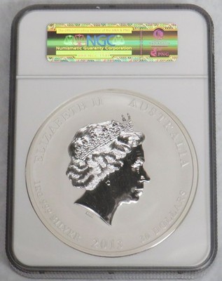 高鑑定☆2013 ブリタニア 銀貨  NGC 69 1oz フクロウ 高鑑定☆2013 ブリタニア 銀貨 コイン NGC 69 1oz フクロウ