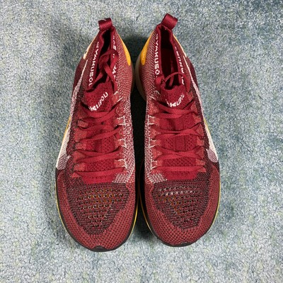 nike zoom vaporfly 4 gyakusou