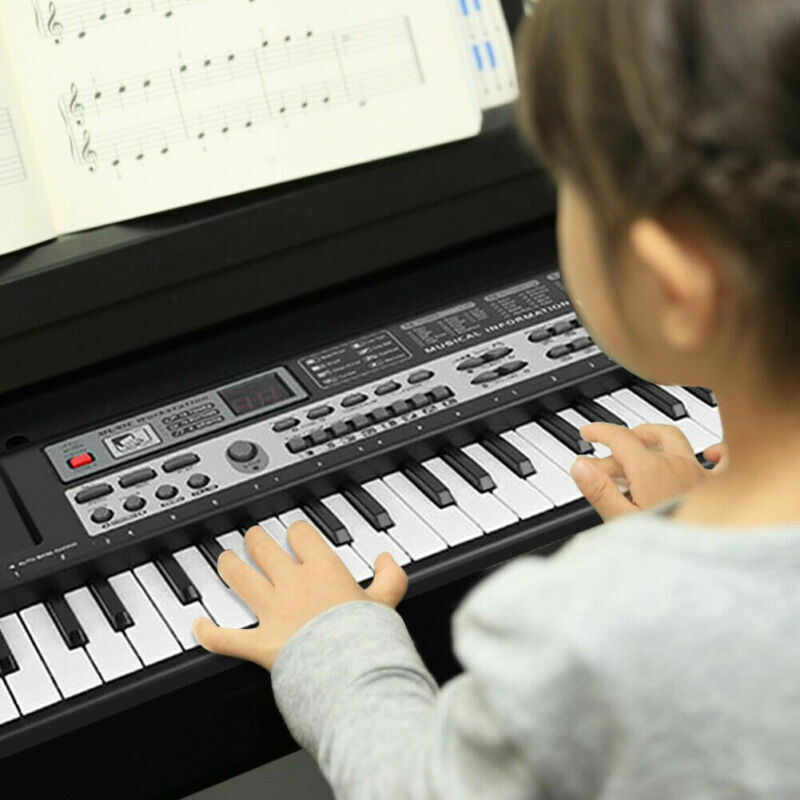 Zdjęcie 12 z 12