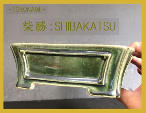 Japanese bonsai pot TOKONAME Green glaze Rectangular Small W18.4cm 柴勝:SHIBAKATSU