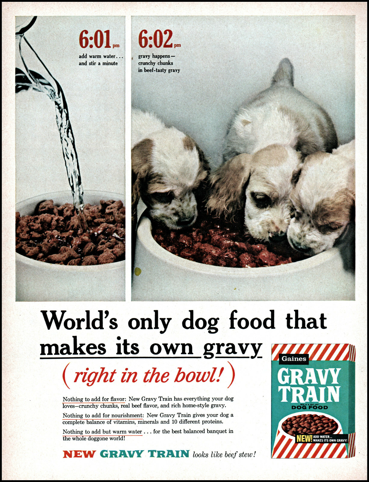1961 Three Puppies eating Gravy Train Dog Food vintage photo print ad