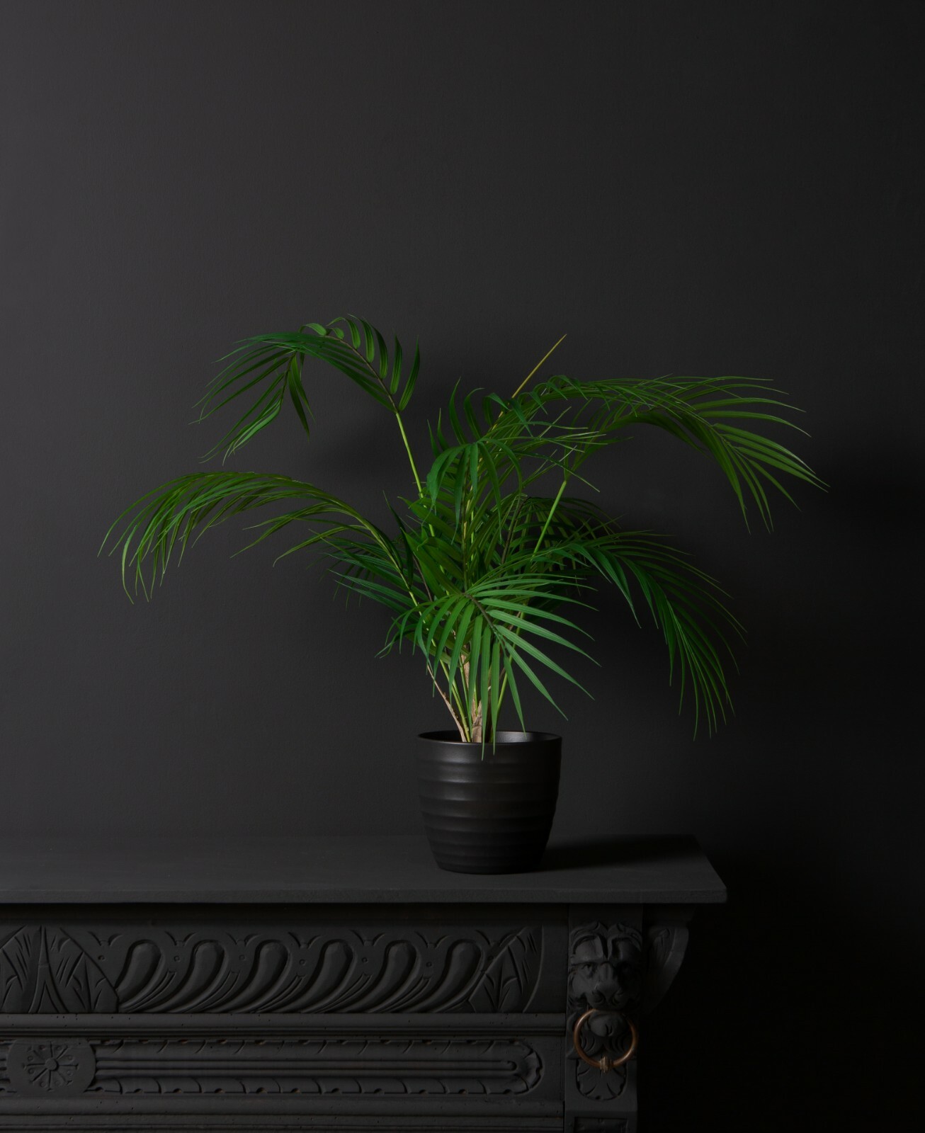 BERGSPALM ARTIFICIAL PALM INDOOR PLANT Fake / Faux Tropical Palm Tree