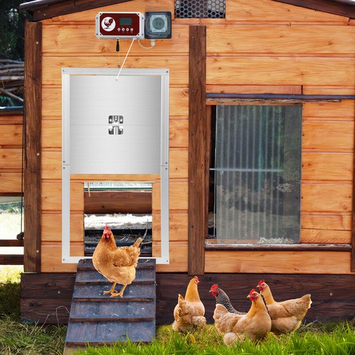 Hühnerklappe Automatische Hühnertür Elektrisch Einklemmschutz IP44 30x30cm - Bild 12 von 12
