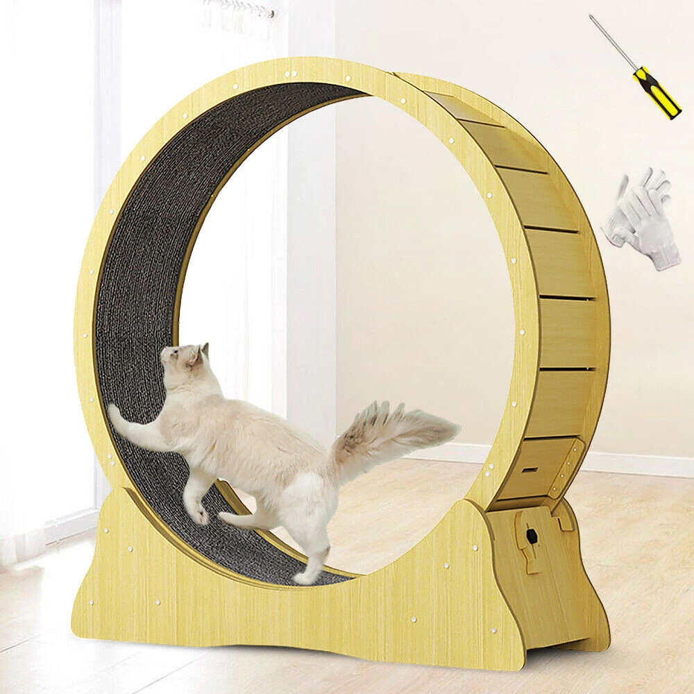Large Cat Exercise Wheel Cat Treadmill Cat Running Wheel Silent Movement Cat Toy
