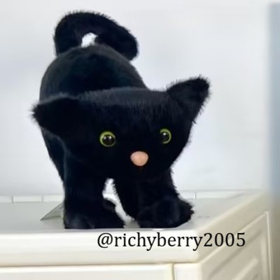 JELLYCAT Spookipaws Cat 2025 - Halloween Collectible Plush BNWT