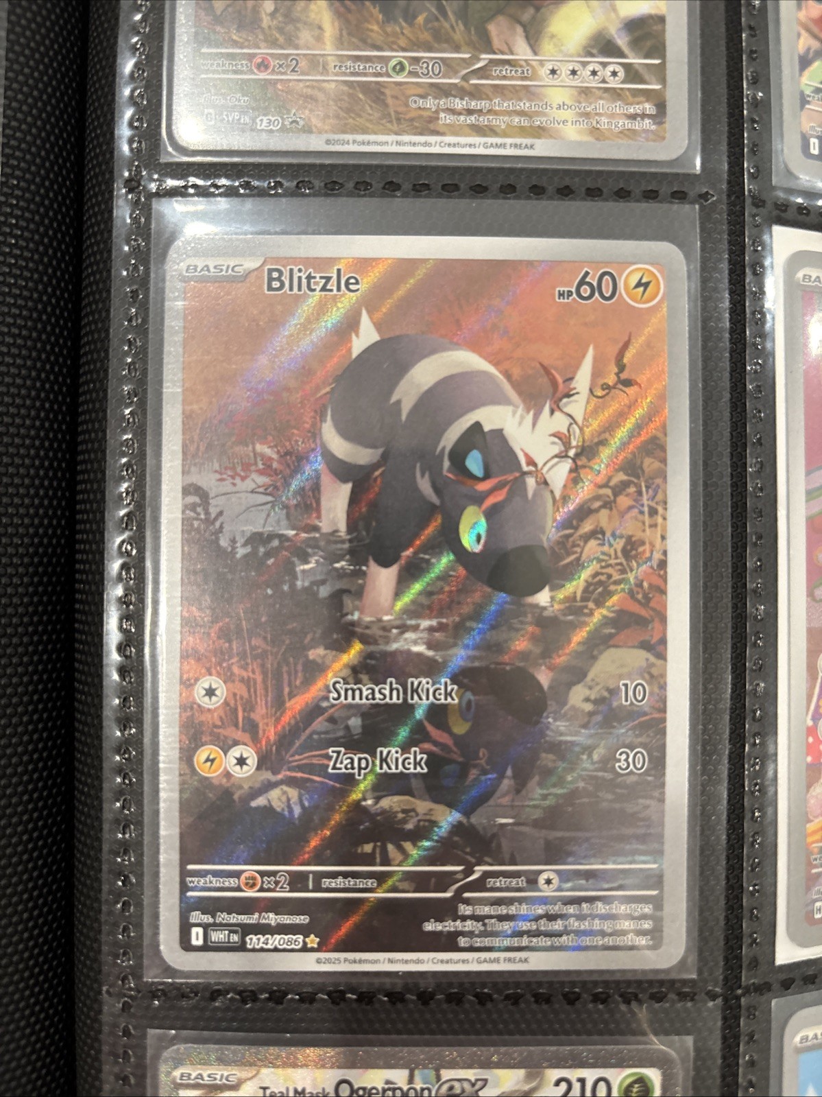 Pokemon TCG Blitzle Holo White Flare English #114/086 Mint Condition