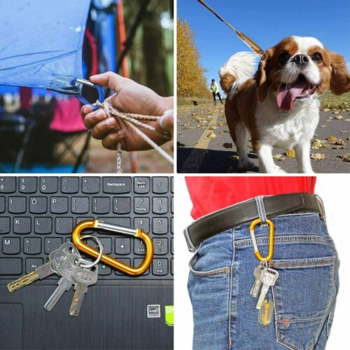 Strong and Reliable Spring Loaded Carabiner Clip for Outdoor Adventures - Foto 1 di 11