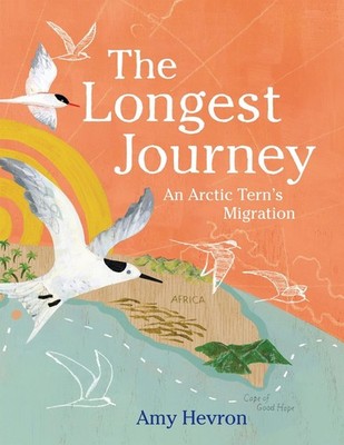 The Longest Journey: An Arctic Tern's Migration by Amy Hevron (English) Hardcove