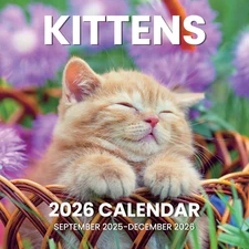 SUNEE Wall Calendar 2026, Kittens Calendar From September 2025 to December 2026,