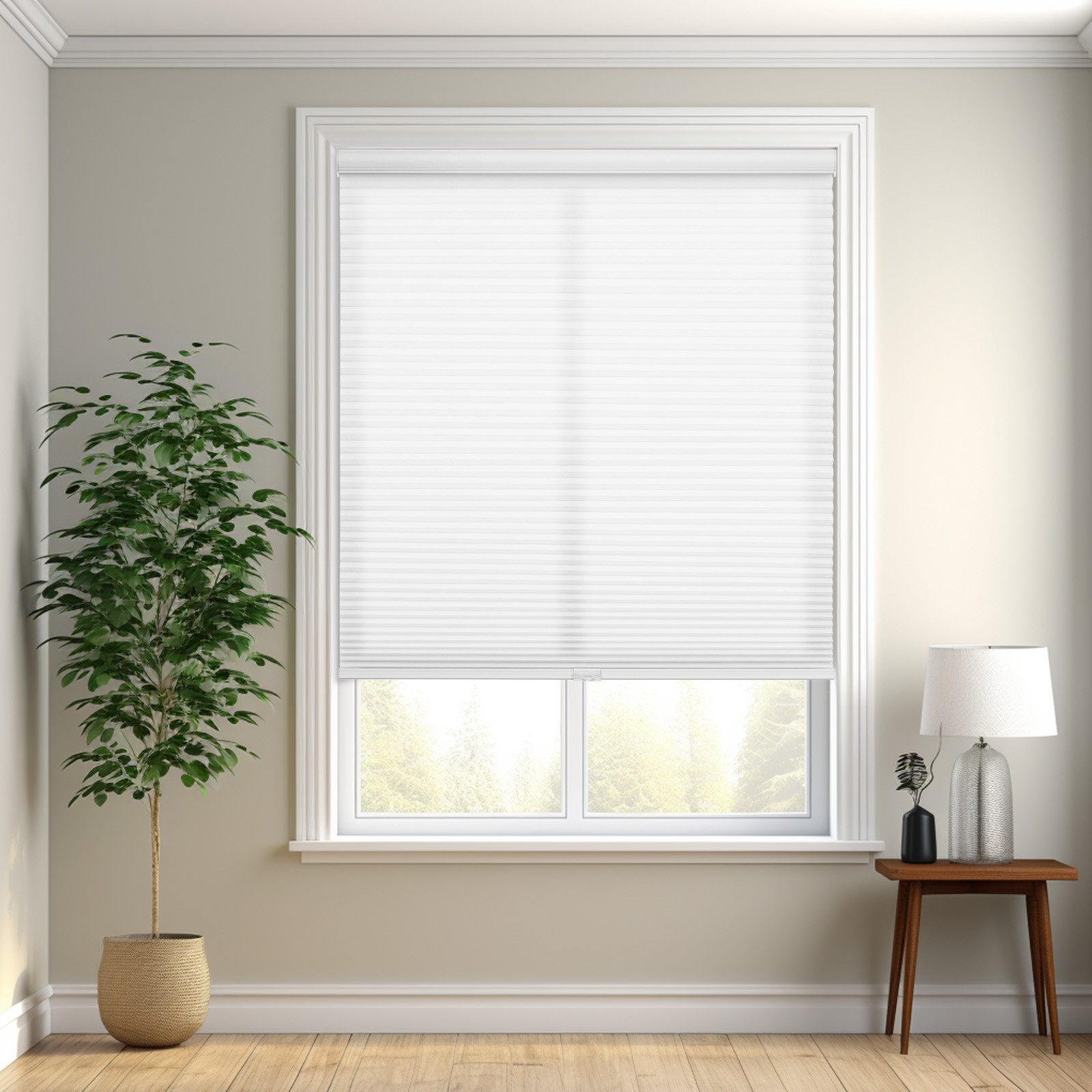 Window Blinds-free Shipping