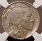 1913 D Buffalo Nickel ~ Type 1 ~ NGC AU Details Cleaned ~ Scarce Early Denver