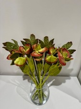 CJ Hendry Flower Market Brooklyn 2026 Velvet Hellebore 5 Flower + 5 Leaf Stems