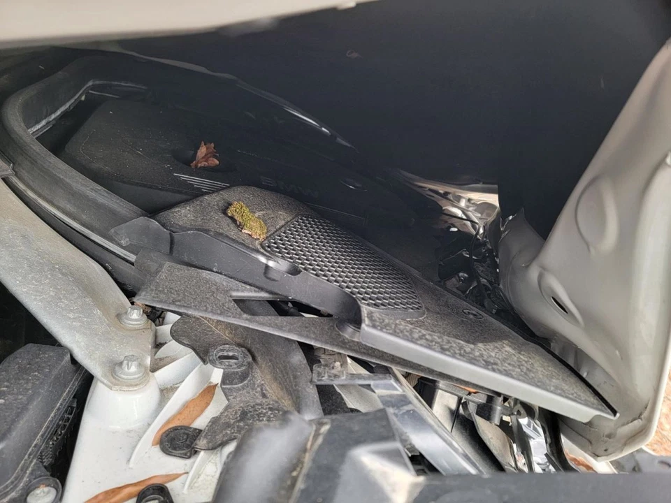 Alternador 180 Amp com aquecedor de pescoço compatível com 17-20 BMW 440i 1558999 - Imagem 2 de 4