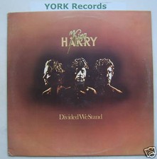 KING HARRY - Divided We Stand - Excellent Con LP Record