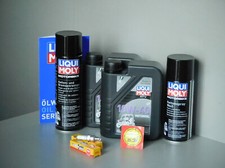 Wartungs - Set Quad Explorer Stimyer 250  für Inspektion mit Öl, Kerze