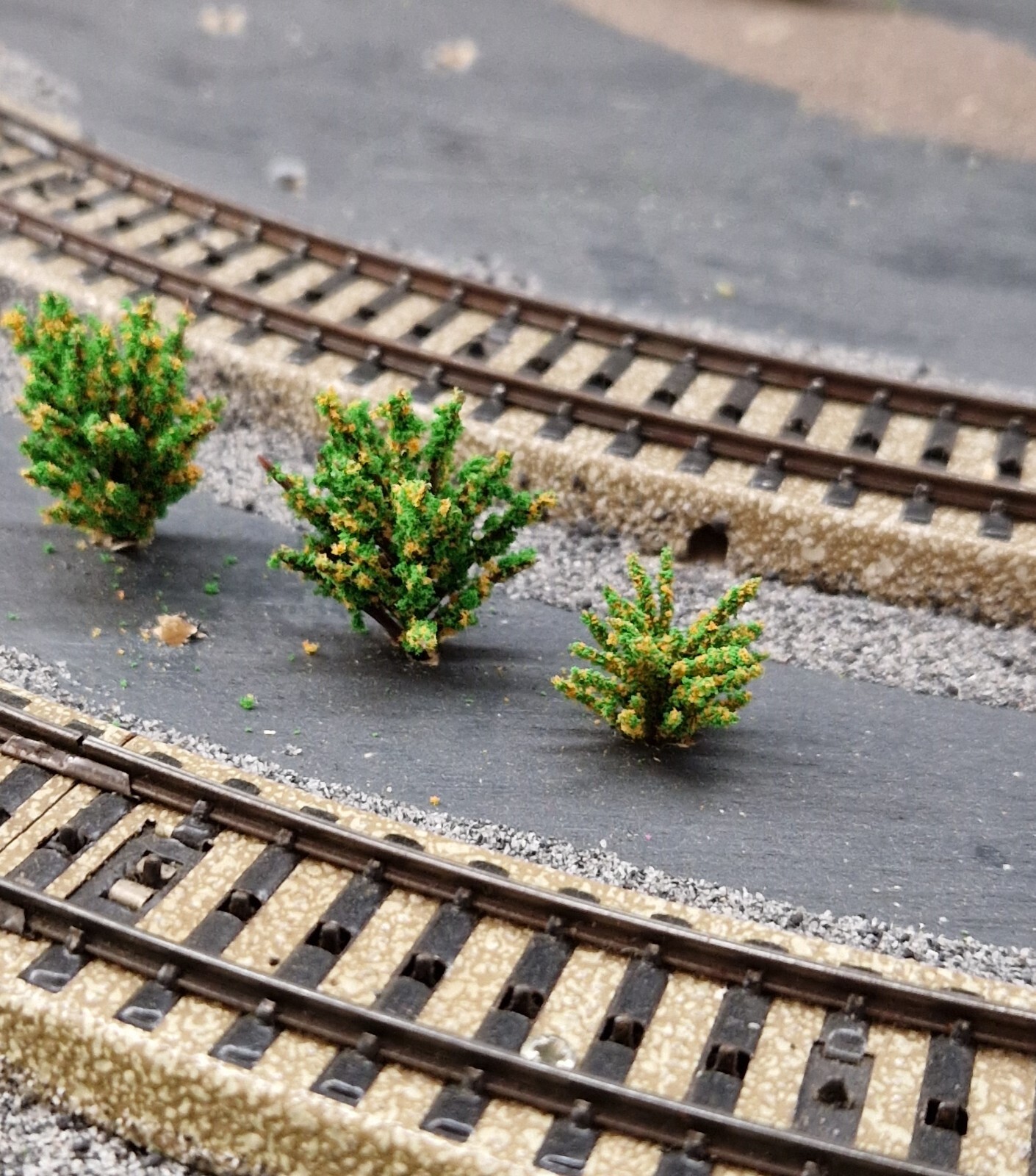 20 Yellow Blooming Bushes, Shrubs, 28 and 40 mm High, for Landscape Construction