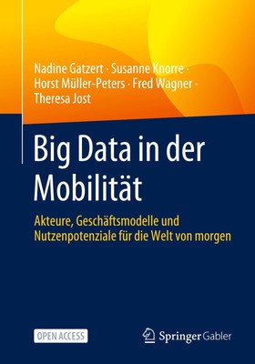 Big Data in der Mobilität | Nadine Gatzert (u. a.) | Deutsch | Taschenbuch | vii