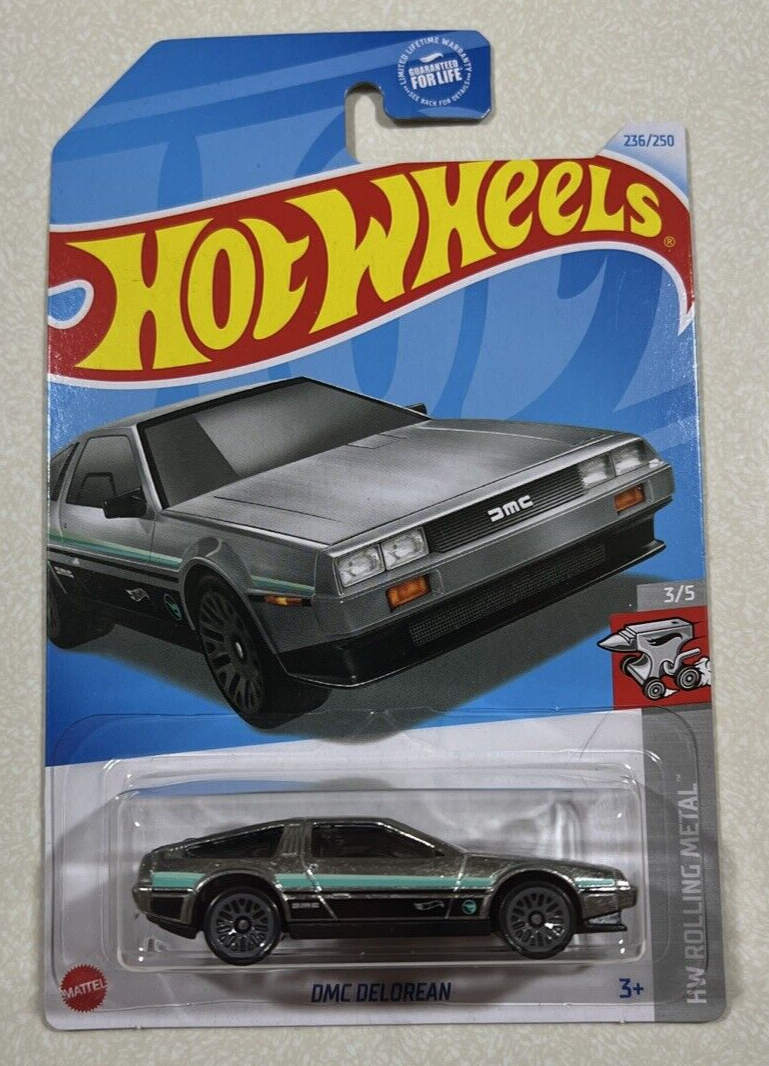NEW 2024 Hot Wheels N CASE TREASURE HUNT - DMC DELOREAN | eBay