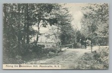 Denniston Hill Horse Carriage Road MONTICELLO NY Antique CATSKILLS Sullivan Co