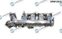 AnsaugbrÜCke Saugrohrmodul FÜR MERCEDES-BENZ - Dr.Motor Automotive DRM12818
