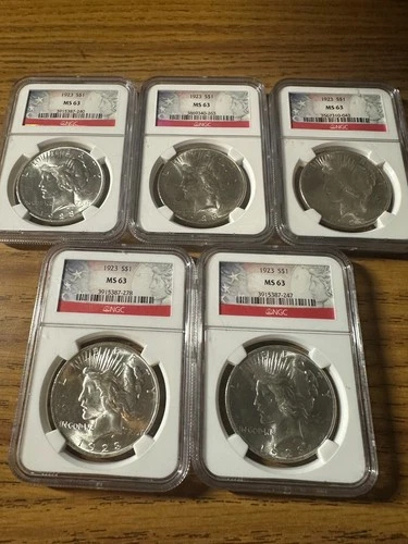 1923 SILVER PEACE DOLLAR MS63 NGC LOT OF 5 COINS