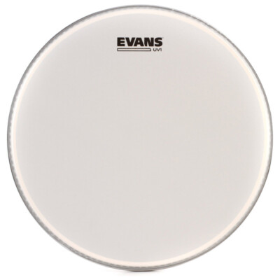 Evans B16UV1 16 Zoll UV1 Schlagzeugkopf (NEU)