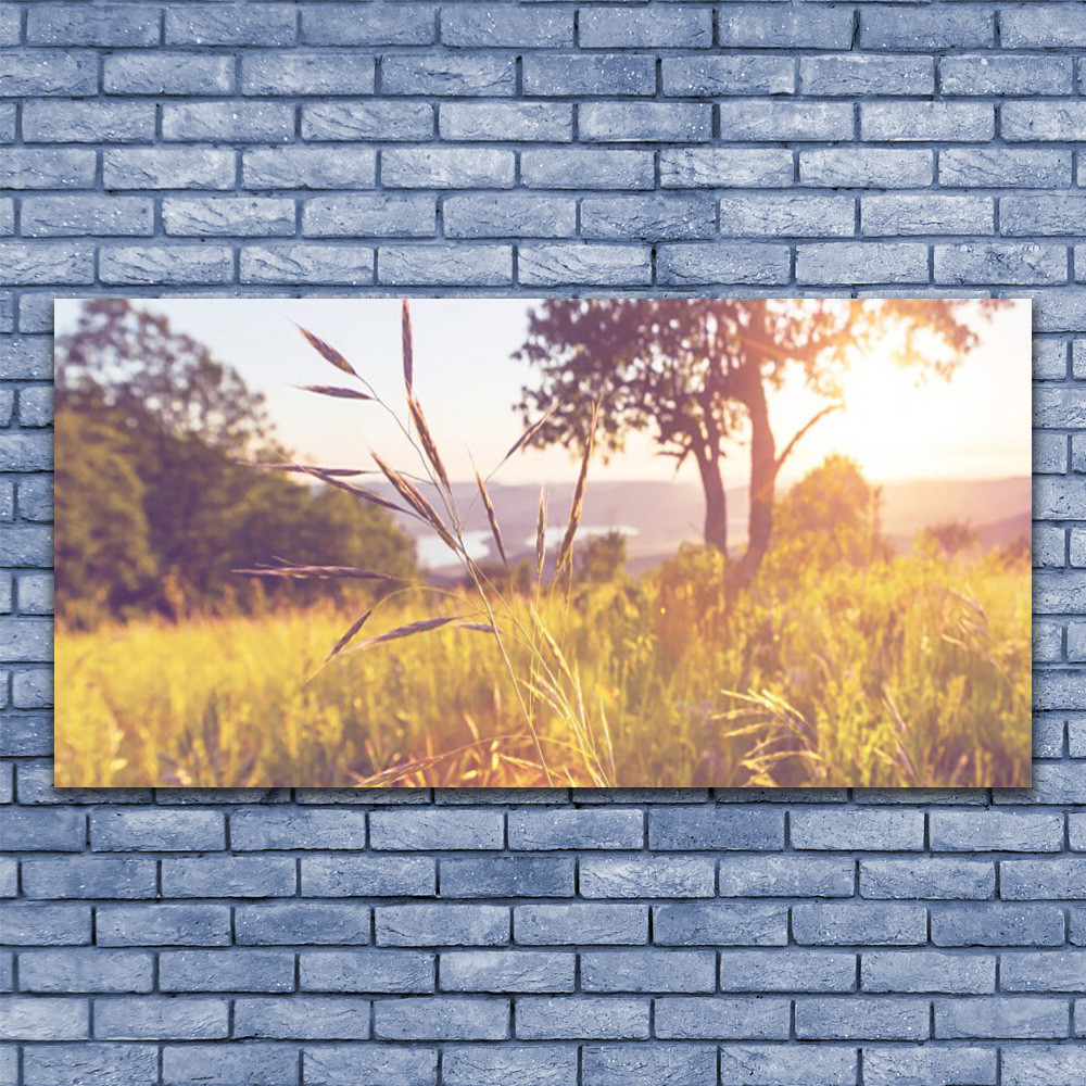 Tableau panoramique grand format 140x70 sur verre de sécurité motif Arbre et Prairie