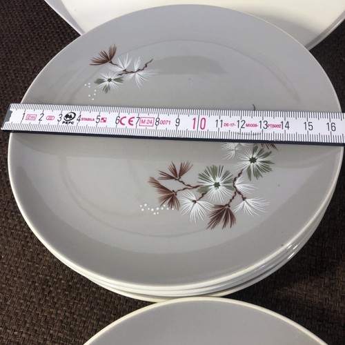 Juego de platos de pino escarchado Royal Doulton X 17 lote de trabajo paquete - Imagen 13 de 15