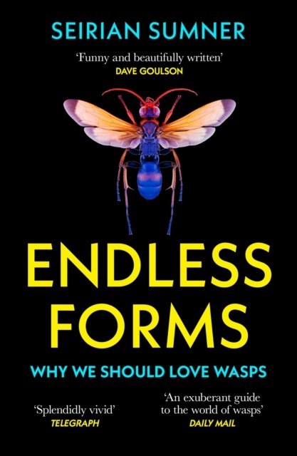 Endless Forms: Why We Should Love Wasps by Seirian Sumner (PB 2023) - Image 3