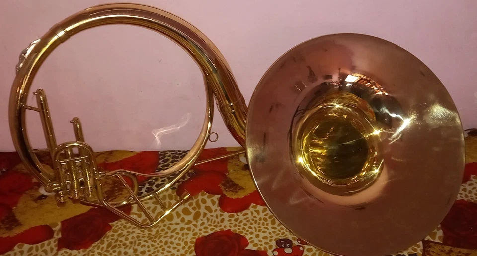 Sousafón Tuba Cuerno 22 Pulgadas Campana con Estuche Rígido Gratis y Boquilla Latón Pulido Foto 4 de 4