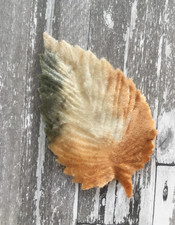 Antique Vintage Millinery Velveteen Leaves Textured Caramel Green Beige - For 6