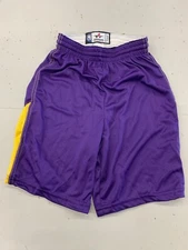 NBA Alleson Lakers Colorway Kids Youth Small Medium Basketball Shorts Purple