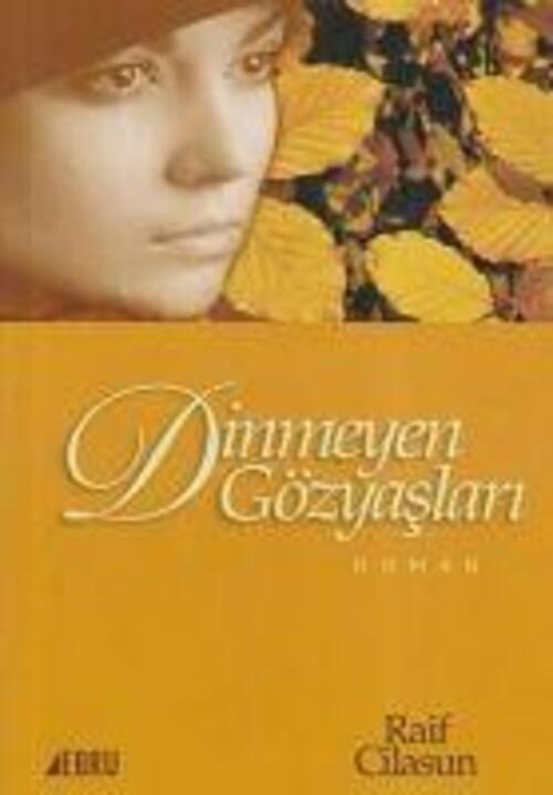 Dinmeyen Gözyaslari | Raif Cilasun | Türkisch | Taschenbuch | 2010