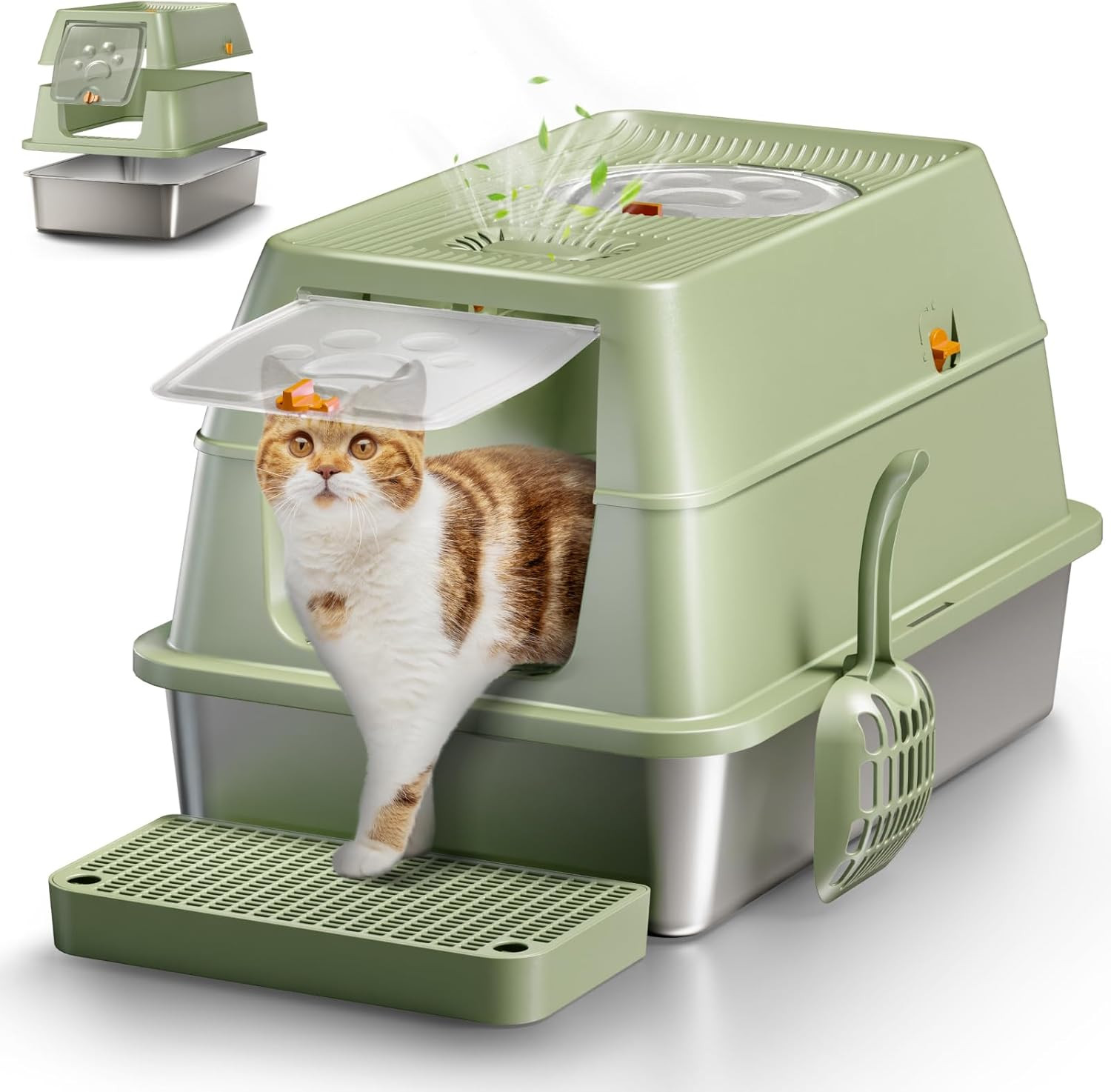 With Lid - Odor Free & Easy Clean, Green