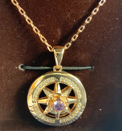 Red Bee women compass rose Pendant Necklace, Mother’s Day, Wife, Graduation NEW - Picture 1 of 4