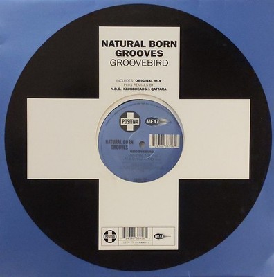 Natural Born Grooves - Groovebird (12'') (Very Good Plus (VG+)) - 3880316983