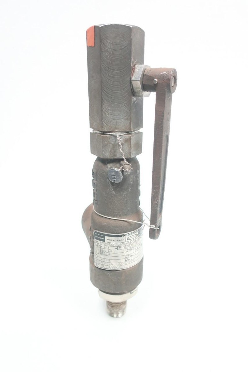 Chapado en Laton シルバ　Ms2 Consolidated 19096LCF-2-CC-MS-33-MT-FT-LA Relief Valve 20gpm