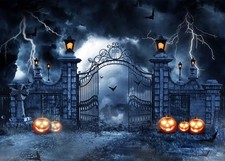 Scary Halloween Photography Backdrop 8x6ft Pumpkin Party Decoration