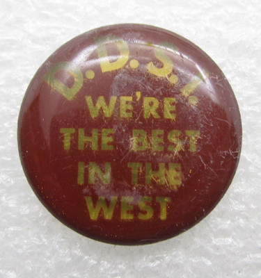 D.D.S.I We/re the Best in the West Lapel Pin (D783)