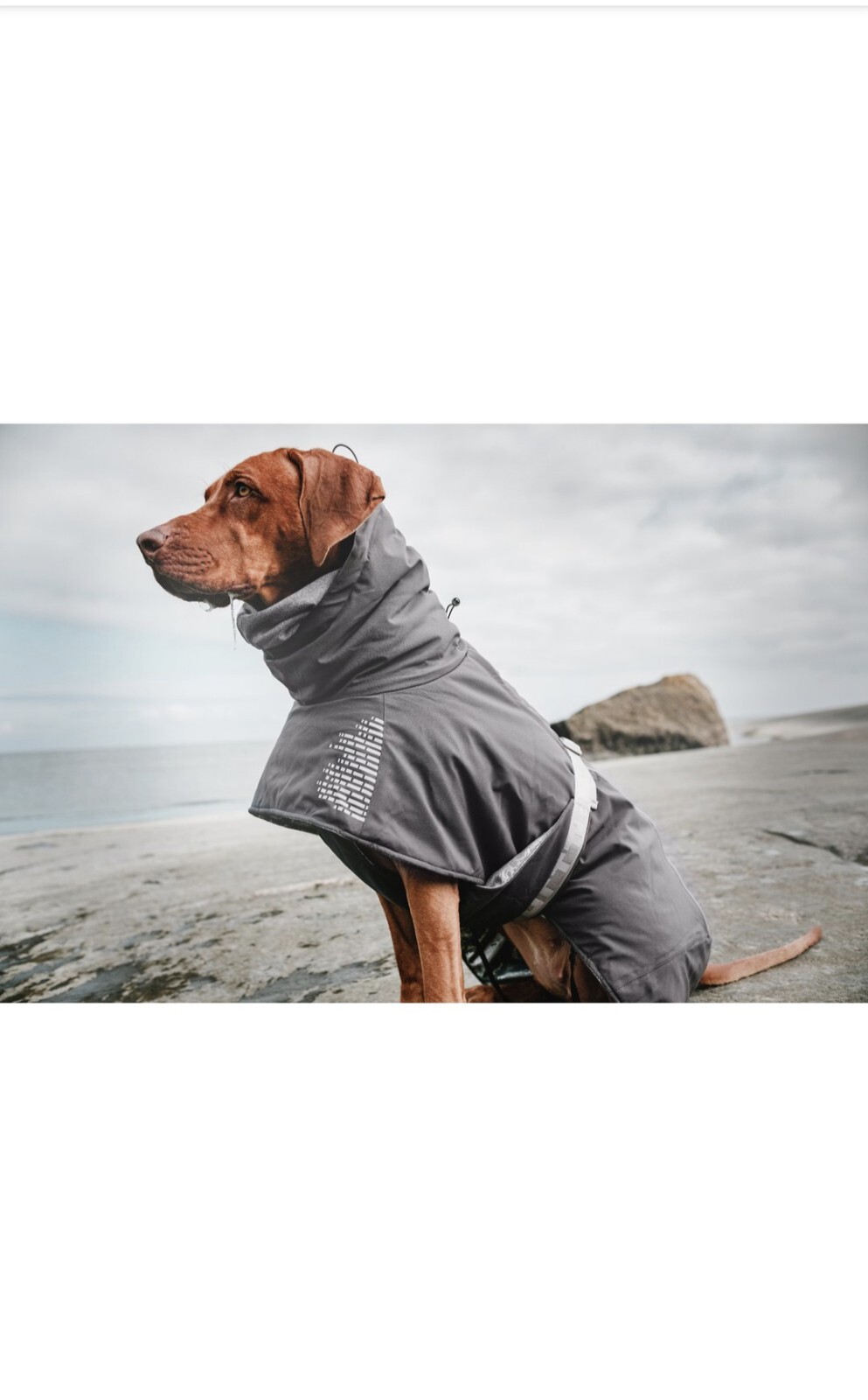 Hurtta Extreme Warmer Winter Dog Pet Coat Waterproof Jacket 16 in