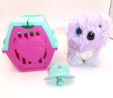 Moose Scruff A Luvs Dog with House and Pacifier Purple w/ Glitter Ears Blue Eyes