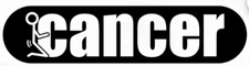 Fuck-Cancer Awareness Ribbon Vinyl Decal Car Truck Window Sticker Black White