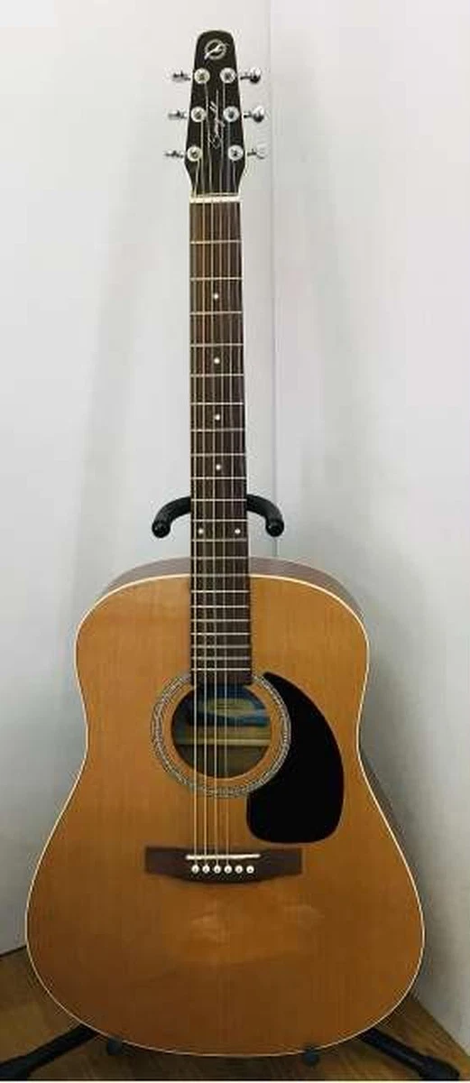 SEAGULL Acoustic COASTLINE S6 CEDAR GT