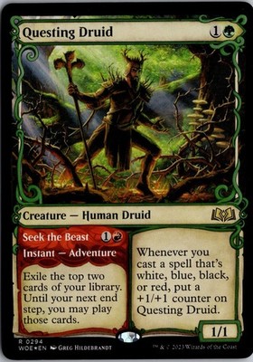 Questing Druid (Showcase) 294 Wilds of Eldraine Magic: The Gathering Foil NM