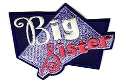 Pink Fabric Applique Patch Iron On 2 Inch Embroidered Design