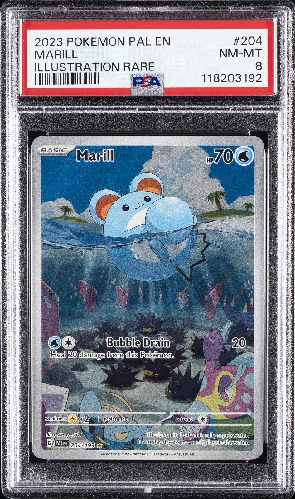 2023 POKEMON PAL EN-PALDEA EVOLVED ILLUSTRATION RARE #204 MARILL PSA 8