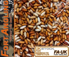 BAIT PRO - "CASTERS & DEAD FLOURO PINKIES & DEAD RED & WHITE MAGGOTS"